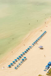 Aerial view of lawn chairs on beach - BLEF09715