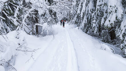 Kaukasisches Paar beim Skilanglauf im Schnee - BLEF09821