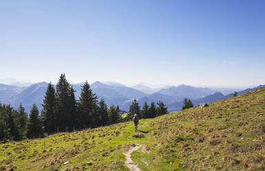 Rückansicht eines Mannes beim Wandern auf dem Schafberg an einem sonnigen Tag in voller Länge - GWF06171