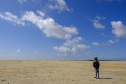 Rückansicht in voller Länge eines jungen Mannes, der am Strand steht und die Landschaft gegen den blauen Himmel an einem sonnigen Tag betrachtet - LBF02639