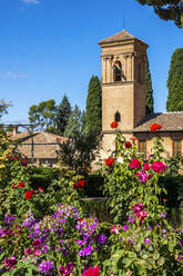 Frische Blumen blühen am historischen Alhambra-Palast vor blauem Himmel an einem sonnigen Tag - PUF01684