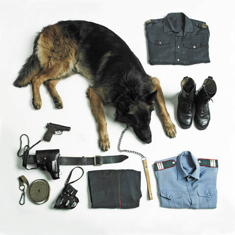 Organisierte Polizeiuniform und Ausrüstung mit Hund, lizenzfreies Stockfoto