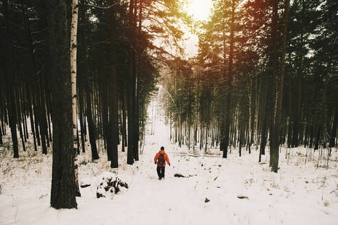 Wanderer im verschneiten Wald - BLEF09932