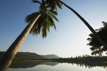 Palmen, die sich über einen ruhigen, friedlichen tropischen Fluss lehnen, Platinitos, Nayarit, Mexiko - FSIF04180
