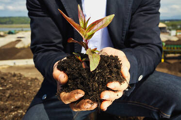 Nahaufnahme Mann schröpfen Pflanze Sapling in Schmutz - FSIF04192