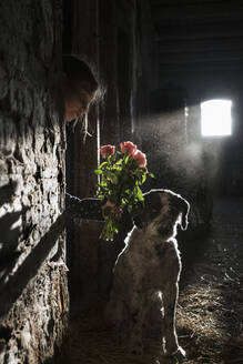 Mädchen zeigt dem Hund Blumen in einer sonnigen Scheune - FSIF04239