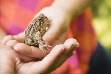 Nahaufnahme eines kaukasischen Mädchens, das einen Frosch im Freien hält - BLEF10143