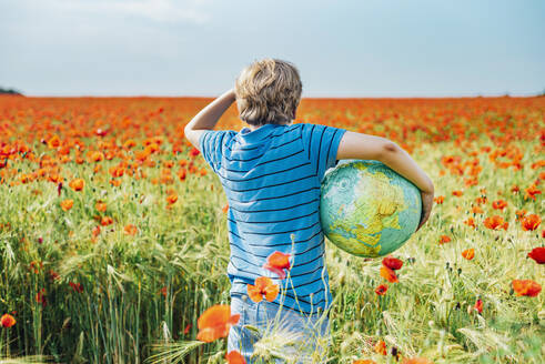 Rückansicht eines Jungen mit einem Globus in einem Mohnfeld an einem sonnigen Tag - MJF02392