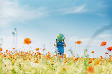 Pre-adolescent boy holding globe in poppy field against blue sky on sunny day - MJF02399