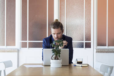 Geschäftsmann mit Laptop am Tisch im Büro - JSRF00454