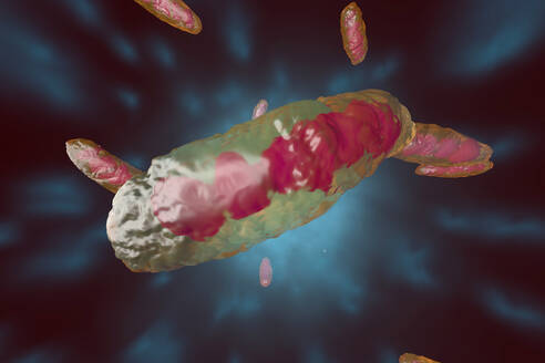 3D gerenderte Illustration, Visualisierung eines anatomisch korrekten Mitochondriums - SPCF00420