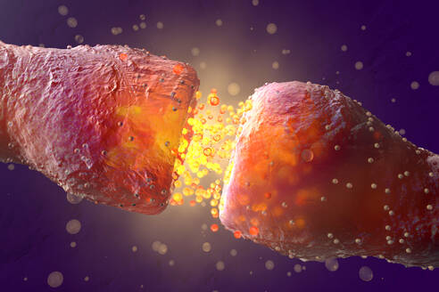 3D Rendered Illustration, visualization of Neurons firing neurotransmitters in the synaptic gap - SPCF00421