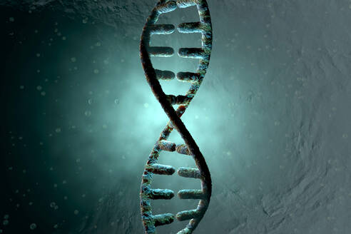 3D Rendered Illustration, visualization of a DNA double Helix which carry the genes of a biological organism - SPCF00422