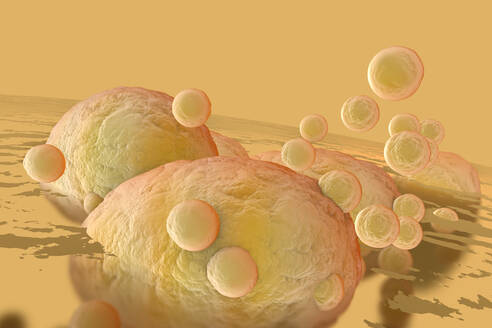 3D Rendered Illustration, visualization of Fat Cells clogging together in the human body - SPCF00423