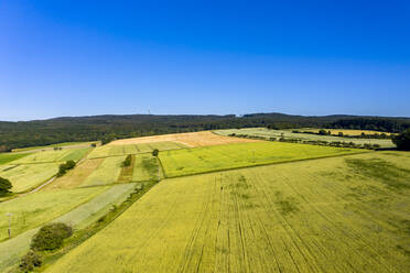 Luftaufnahme über Getreidefelder, Wiesen und Wälder, Wetterau, Deutschland - AMF07197