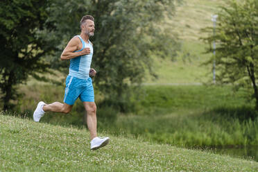 Sporty man jogging in a park - DIGF07501