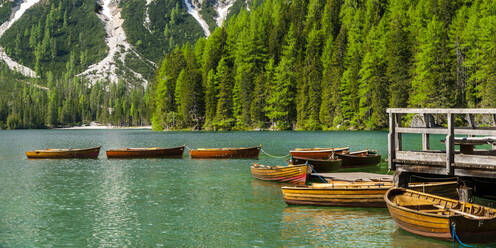 Ruderbootreihe auf dem Pragser Wildsee, Pragser Dolomiten, Südtirol, Italien - STSF02117