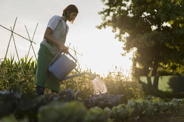 Woman watering vegetable garden - MAUF02685