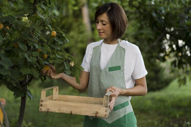 Woman with wooden box in garden - MAUF02697