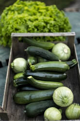 Zucchinis in Holzkiste - MAUF02701