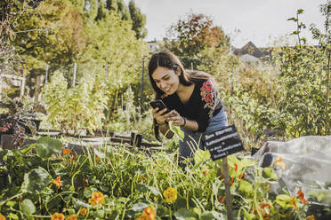 Glückliche junge Frau, die mit ihrem Smartphone im städtischen Garten fotografiert - VGPF00049