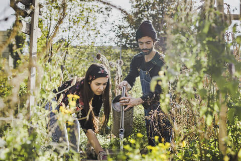 Couple watering plants in urban garden stock photo