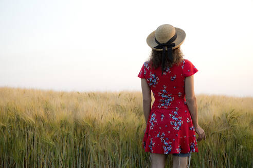 Rückenansicht einer Frau mit Strohhut und rotem Sommerkleid mit Blumenmuster, die vor einem Getreidefeld steht - FLLF00243