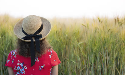 Rückenansicht einer Frau mit Strohhut und rotem Sommerkleid mit Blumenmuster, die vor einem Getreidefeld steht - FLLF00244