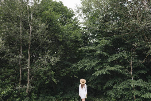 Rückansicht einer jungen Frau mit Hut in einem Wald - AHSF00583