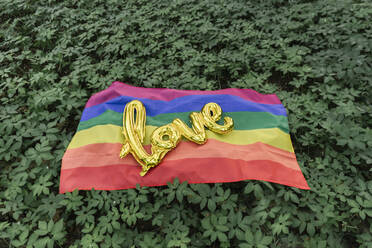 Rainbow flag with word love in background of forest plants - AHSF00595