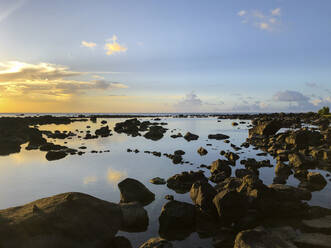 Stony beach, Pointe aux Piments, Mauritius - DRF01745