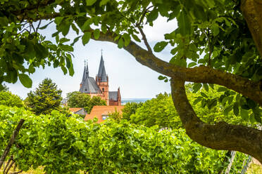 St. Catherine's church and vineyards, Oppenheim, Germany - PUF01705