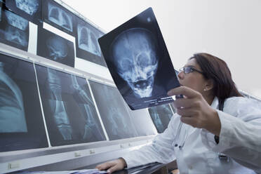 Hispanic doctor examining x-rays in hospital - BLEF10237