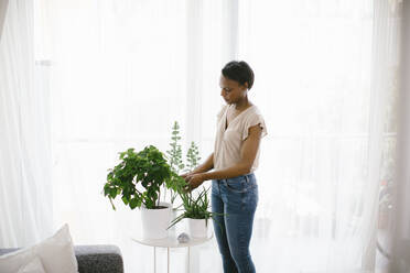 Woman arranging plants at home - SODF00026