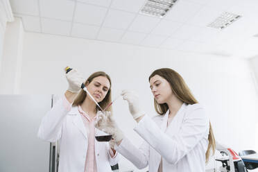Scientists in white coats doing experiment in lab - AHSF00632