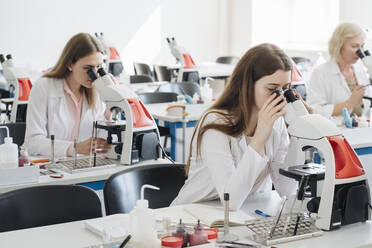 Researchers in white coats working with microscopes in lab - AHSF00657