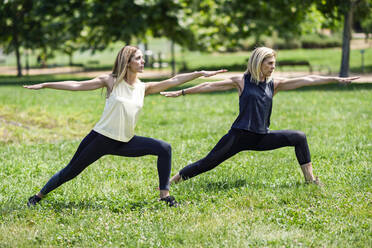 Ältere Frau macht Yoga mit ihrer Tochter in einem Park - JSMF01142