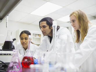 Scientists working in laboratory - BLEF10473