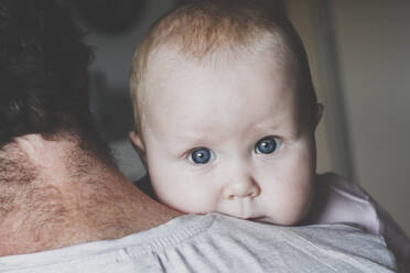 Portrait of baby girl looking from behind daddy's shoulder - IHF00184