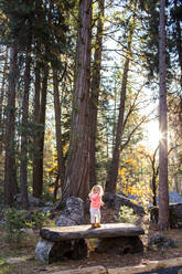 Caucasian baby girl standing on picnic table in forest - BLEF10623