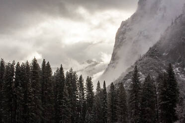 Wald und Berge im Yosemite-Nationalpark, Kalifornien, Vereinigte Staaten - BLEF10633