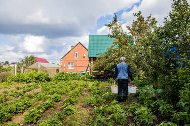 Caucasian farmer working in garden - BLEF10659