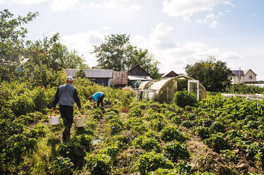 Caucasian farmers working in garden - BLEF10661