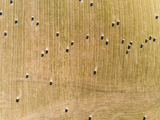 Abstrakte Luftaufnahme von Strohballen auf einem Feld in Correze, Frankreich. - AAEF00068