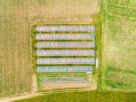 Aerial view of plastic greenhouses in Correze, France. - AAEF00085