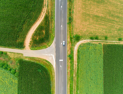 Luftaufnahme einer geraden Straße zwischen Sonnenblumen- und Maisfeldern. - AAEF00101