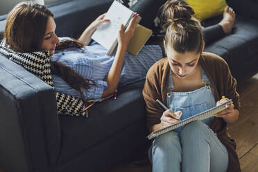 Kaukasische Frauen studieren im Wohnzimmer - BLEF10768