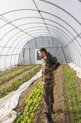 Caucasian farmer standing in greenhouse - BLEF10856