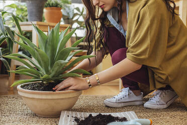 Caucasian woman planting potted plant - BLEF10920