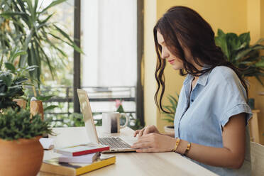 Caucasian woman using laptop at desk - BLEF10929